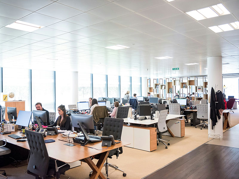 Контакты 1FOODEXPO